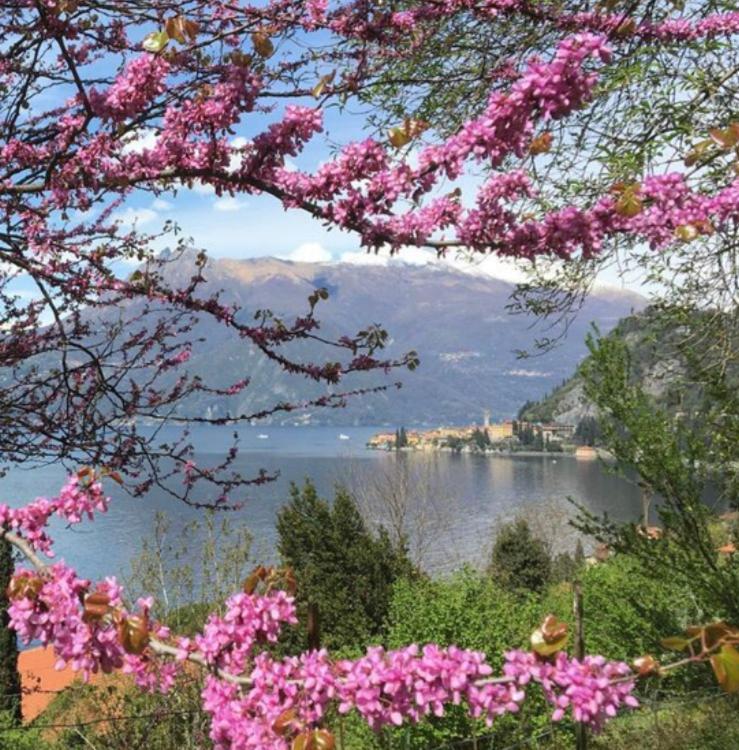 La Punta Di Varenna Luaran gambar